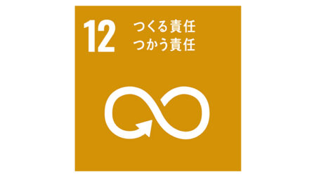 SDGs_goal12_logo