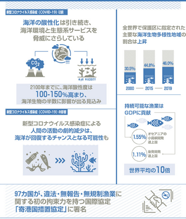 Sdgs14 海の豊かさを守ろう の現状 世界と日本 ソーシャルグッドcatalyst