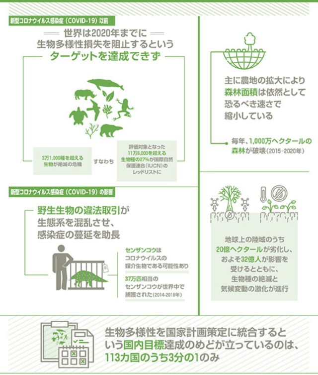 Sdgs15 陸の豊かさも守ろう の現状 世界と日本 ソーシャルグッドcatalyst