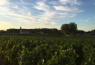 仏ボルドーの葡萄畑とワイナリー