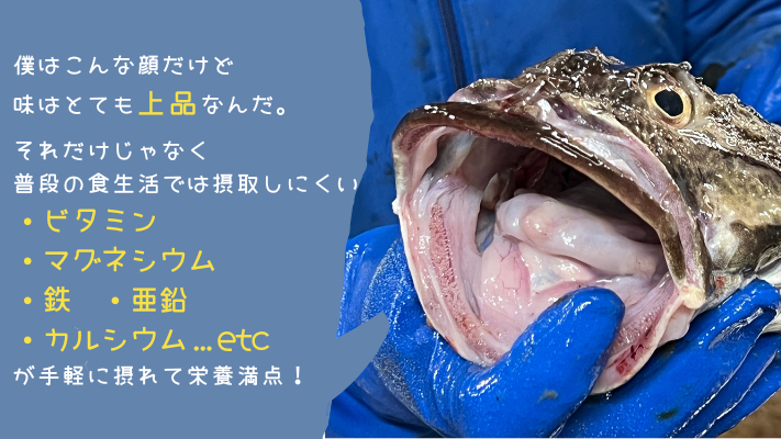 未利用魚を活用した『しゃけをのTHE北海道だし』が販売開始