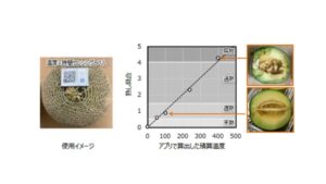 メロンの熟し具合可視化機能の実証