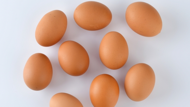 卵の食品ロスを削減!賞味期限や正しい保存方法
